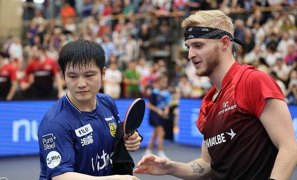 法国乒乓球队血洗波兰乒乓球队，樊振东制霸全场