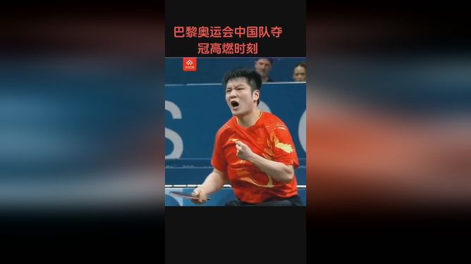 法国乒乓球队血洗波兰乒乓球队，樊振东制霸全场
