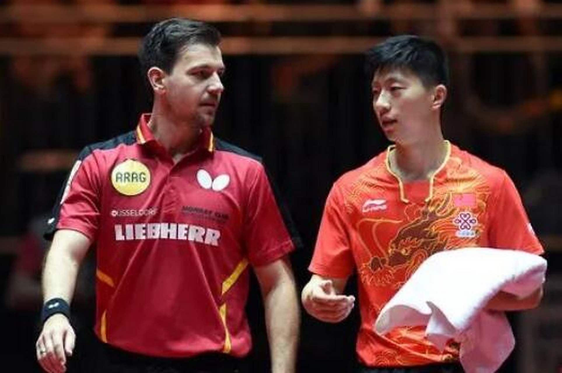 中国乒乓球队力克德国乒乓球队,波尔关键制胜 中国乒乓球队力克德国乒乓球队,波尔关键制胜