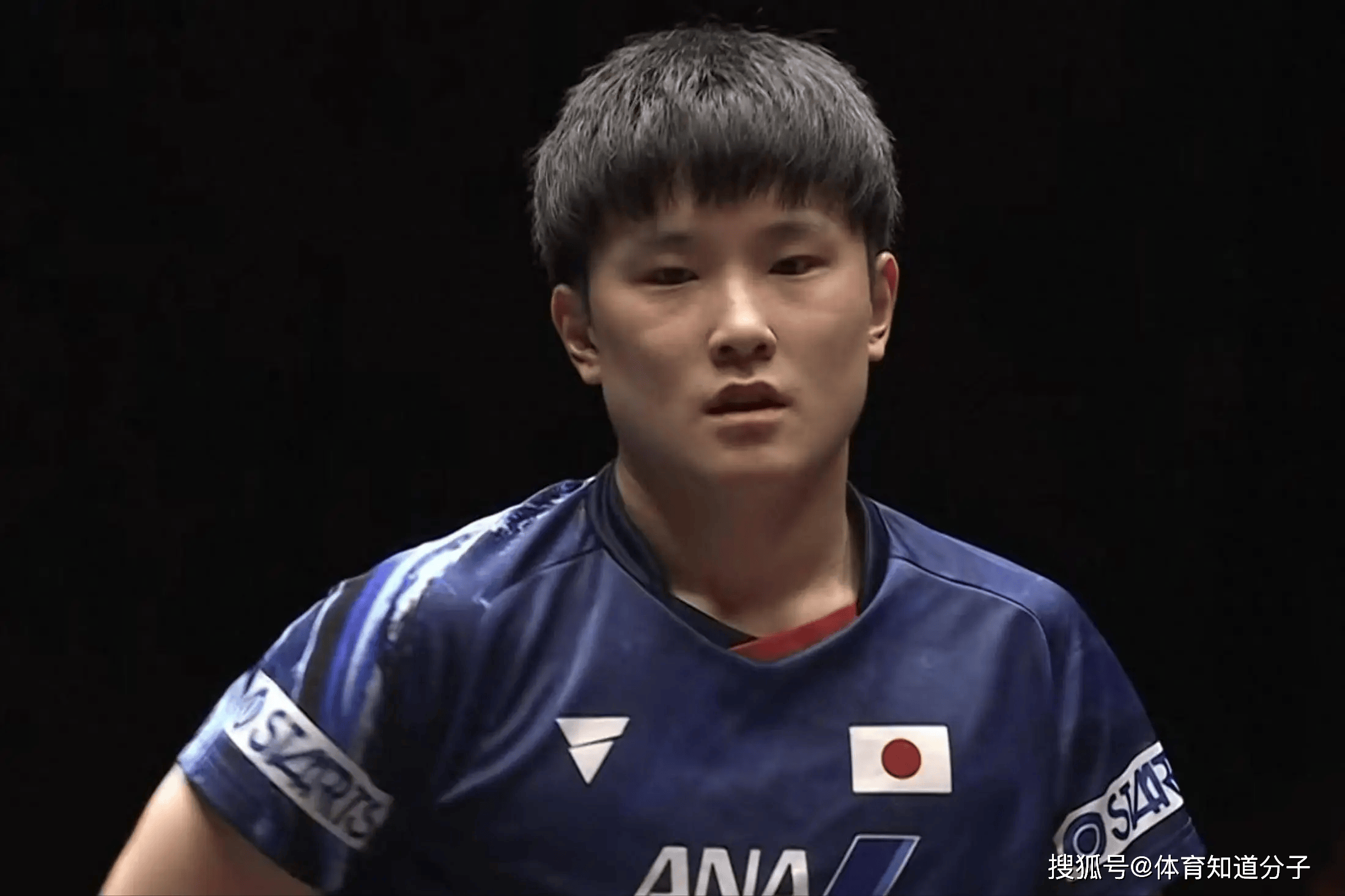 奥地利乒乓球队血洗韩国乒乓球队,张本智和高光表现 奥地利乒乓球队血洗韩国乒乓球队,张本智和高光表现