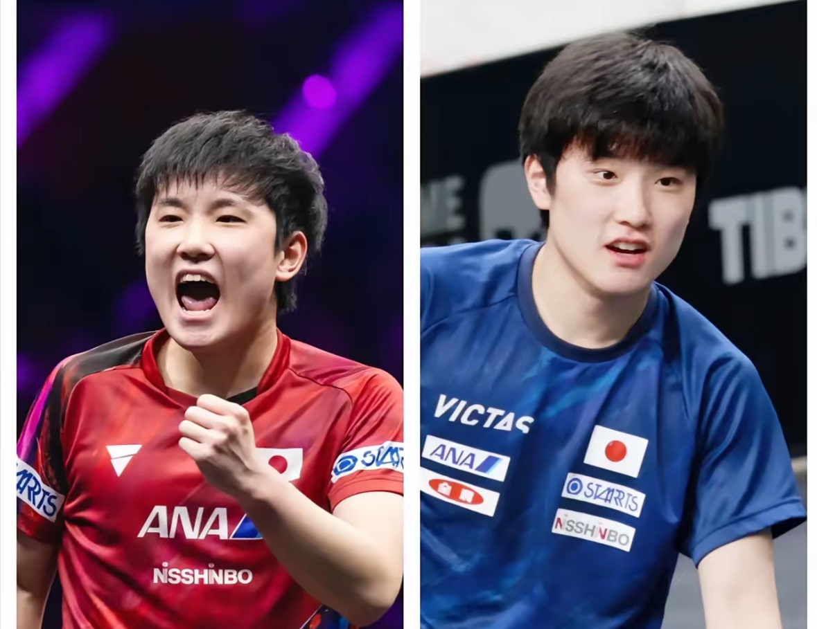 中国乒乓球队翻盘比利时乒乓球队,张本智和绝境逆转 中国乒乓球队翻盘比利时乒乓球队,张本智和绝境逆转