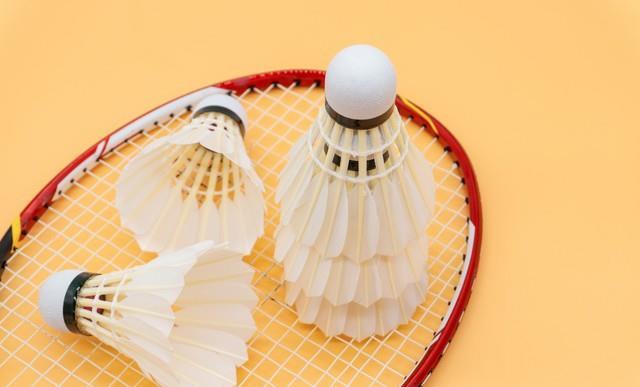 羽毛球引发投注狂潮,赔率走势成谜 羽毛球引发投注狂潮,赔率走势成谜