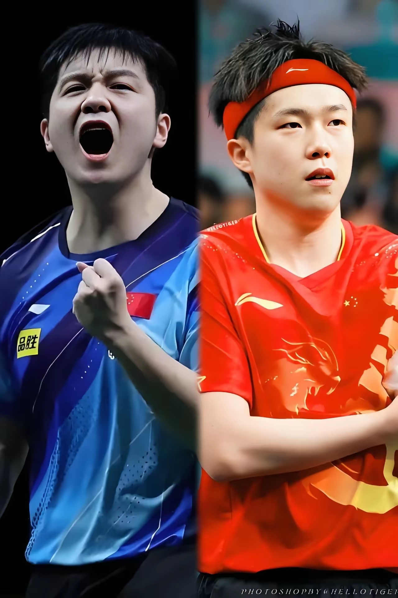 葡萄牙队完胜韩国队，樊振东状态火热