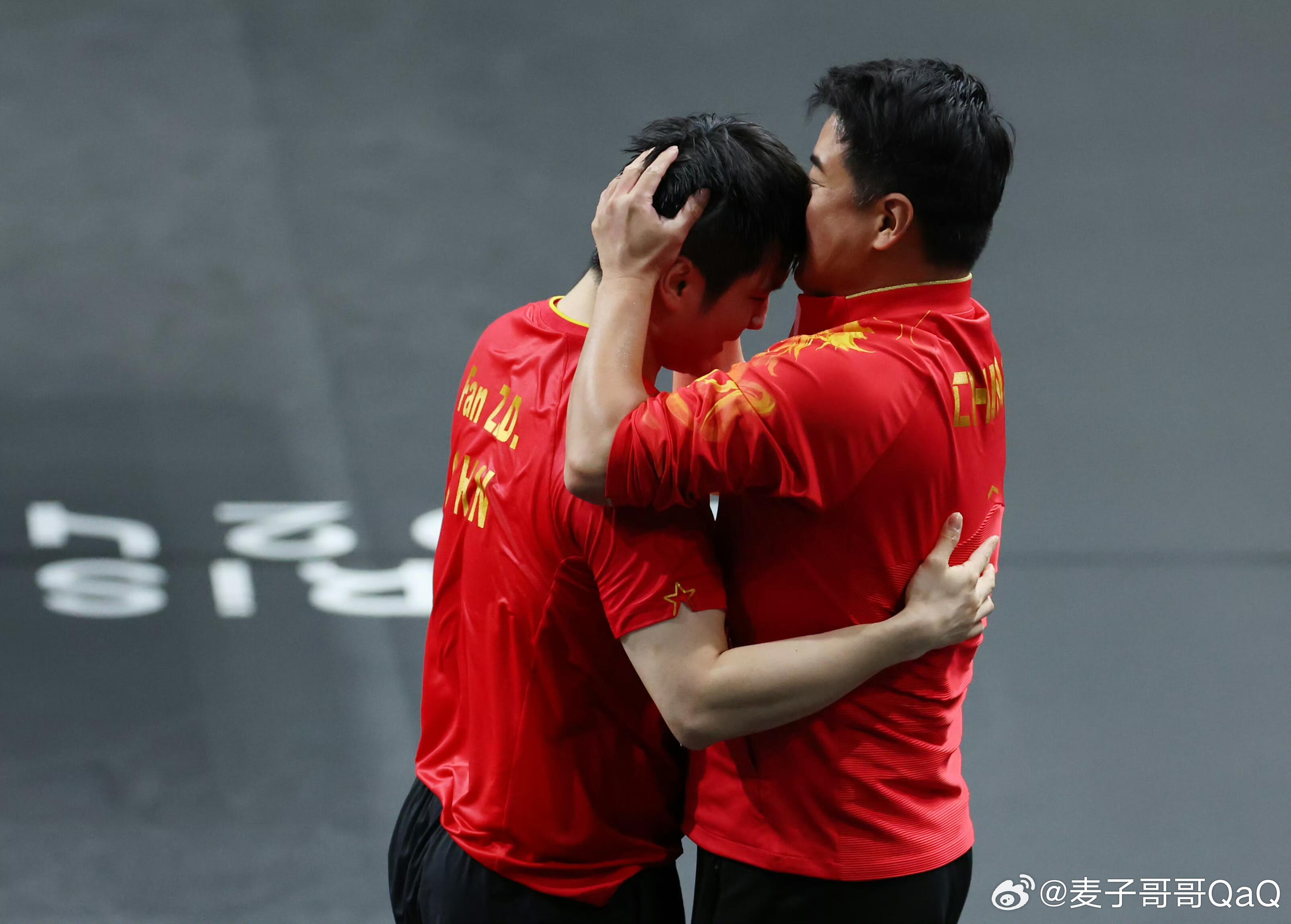 波兰队横扫葡萄牙队，樊振东扛起全队