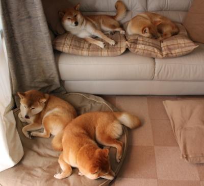 零封之夜,田志希让德国巨星的燃烧成为背景