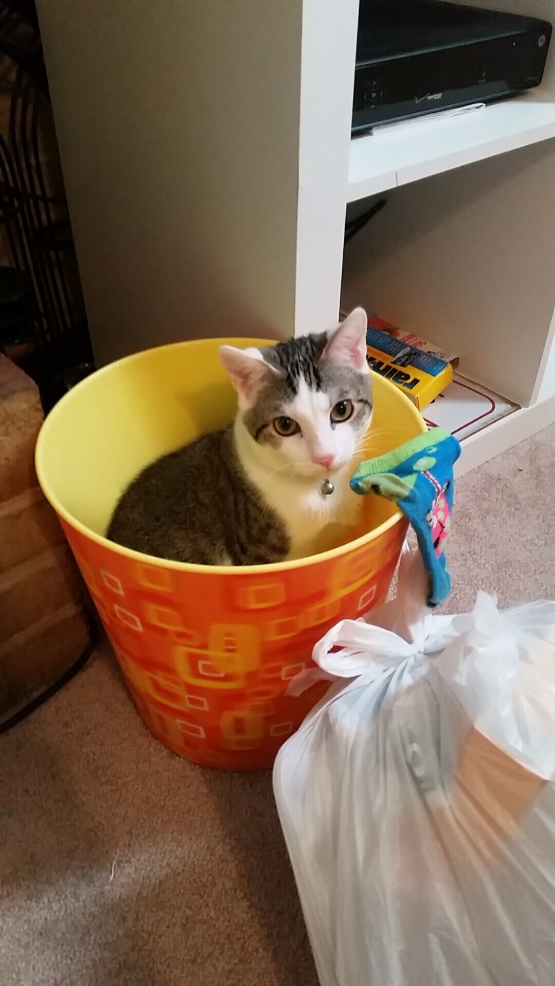 红土之王的草地宣言，蒂姆于温网的不可能逆转与统治