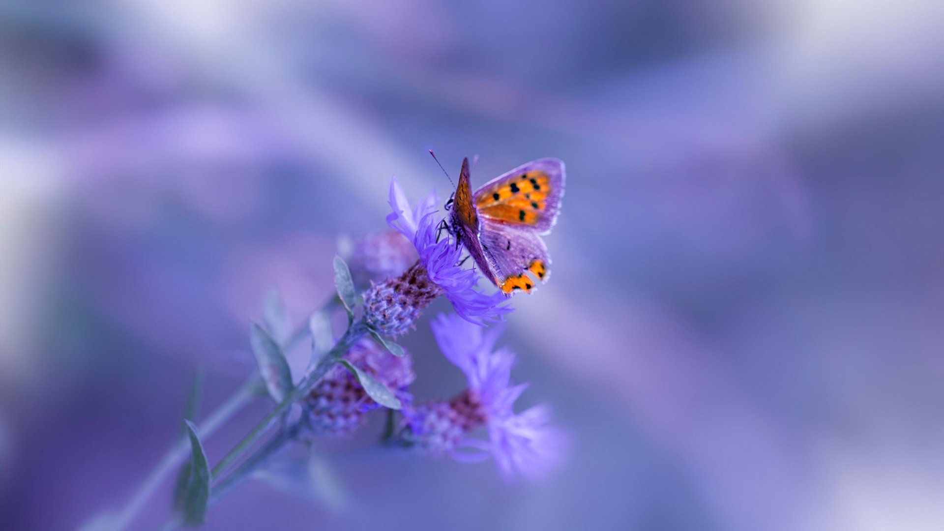 王皓天神下凡！法国队惊天逆转德国，一场载入史册的乒乓对决