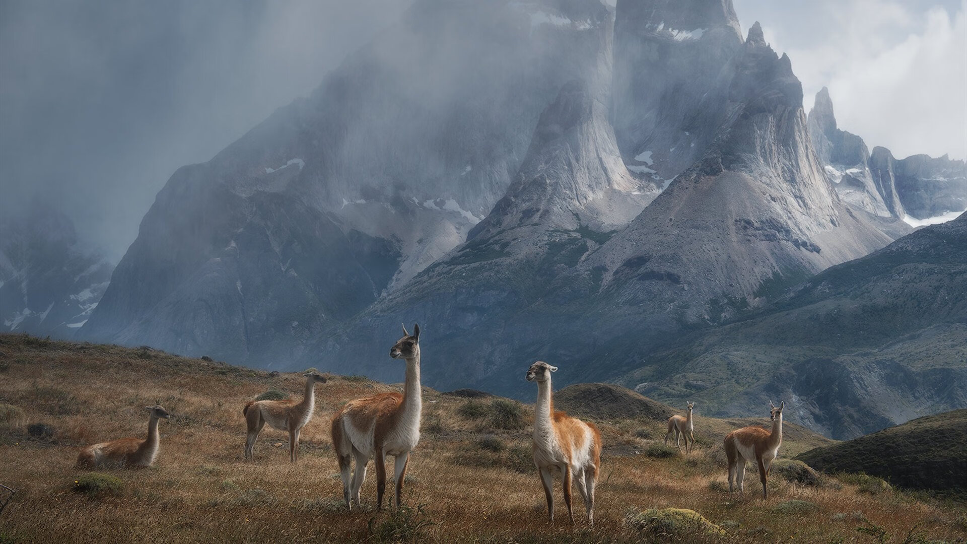 烽火亚平宁，当钢铁防线撞上红黑洪流，范戴克在米兰德比的余烬中定义伟大