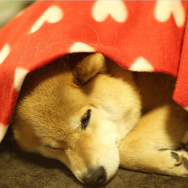 足球矛与盾,毕尔巴鄂防守锁死玻利维亚,孙兴慜持续制造杀伤