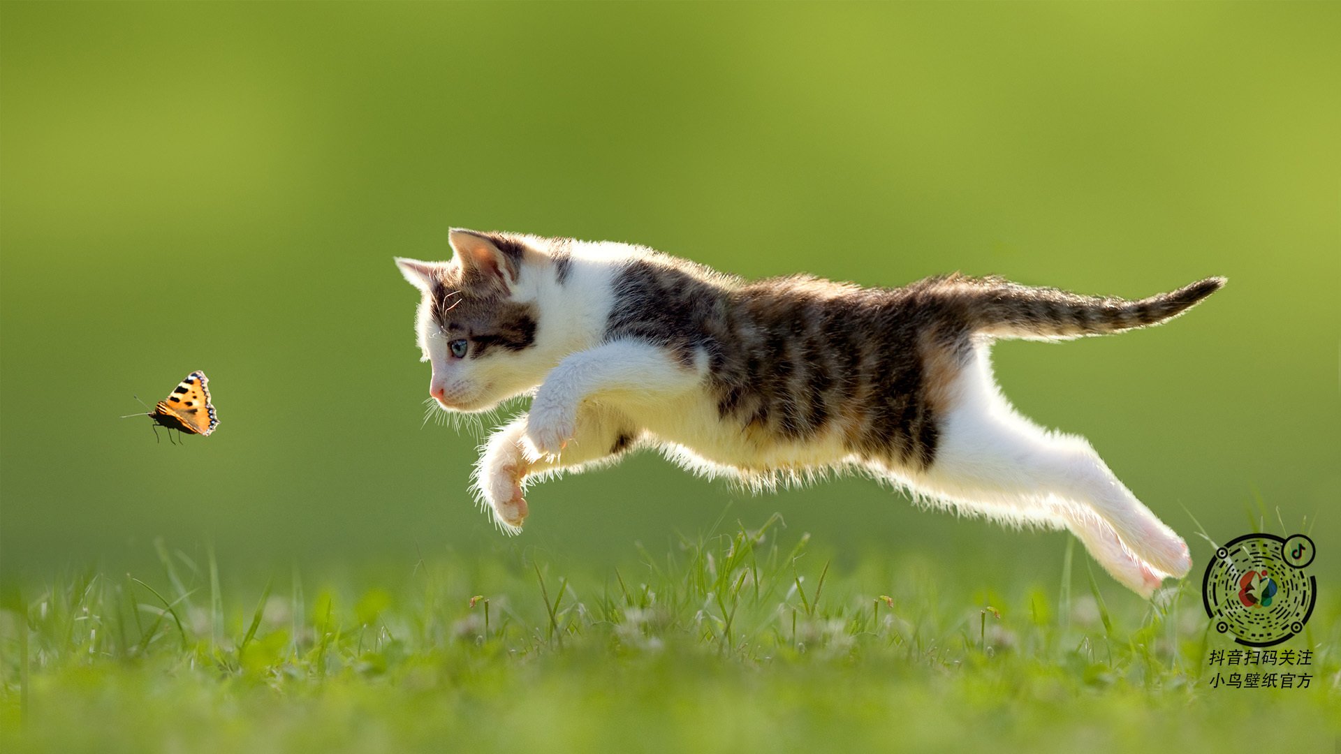 绿色幽灵,坎特如何用一己之力为阿森纳注入不灭的节奏