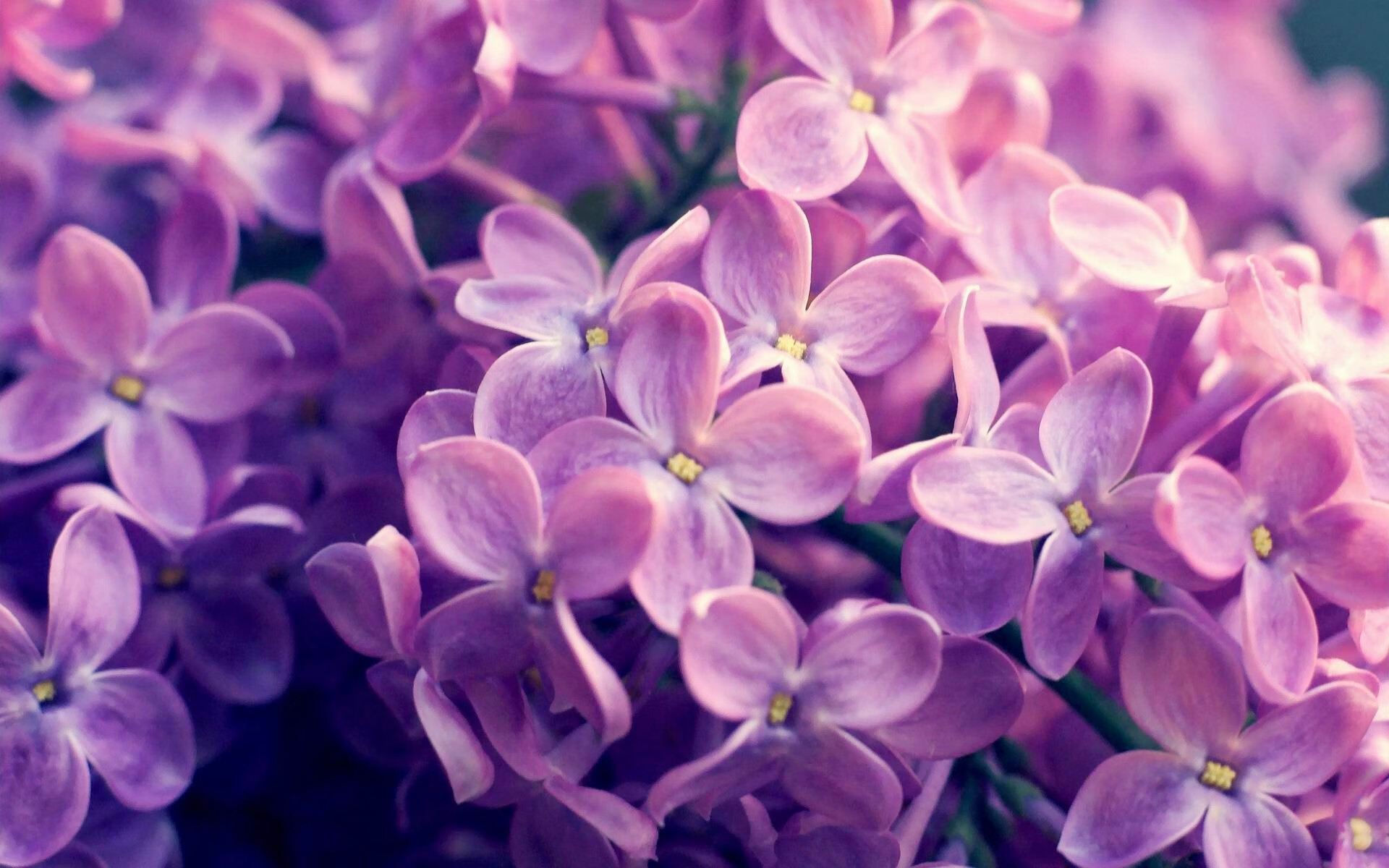 乔治流星雨撕裂夜空,连续单打助湖人两分险胜雷霆