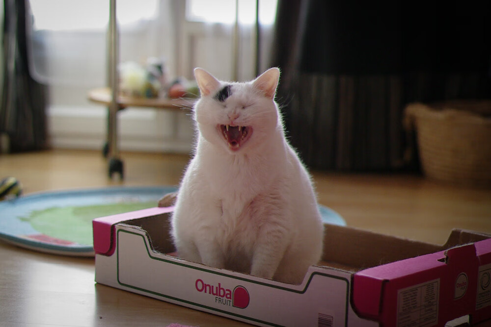 友谊赛中的里程碑，久保建英在乌拉圭与巴黎的特别对决中闪耀