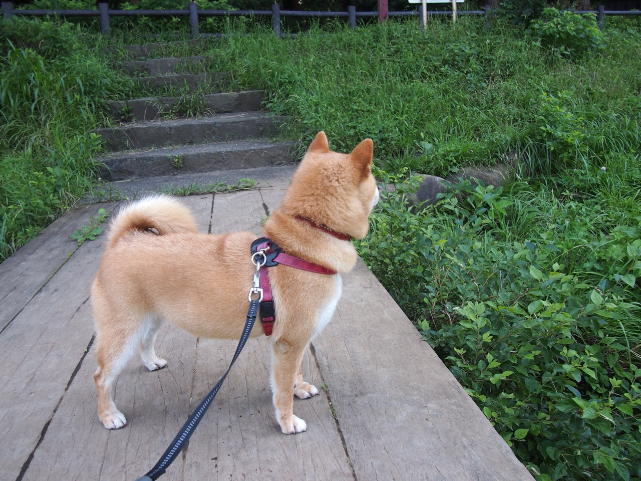 冰与火的淬炼,克莱单节8记三分上演乾坤倒转,新疆一节打懵上海