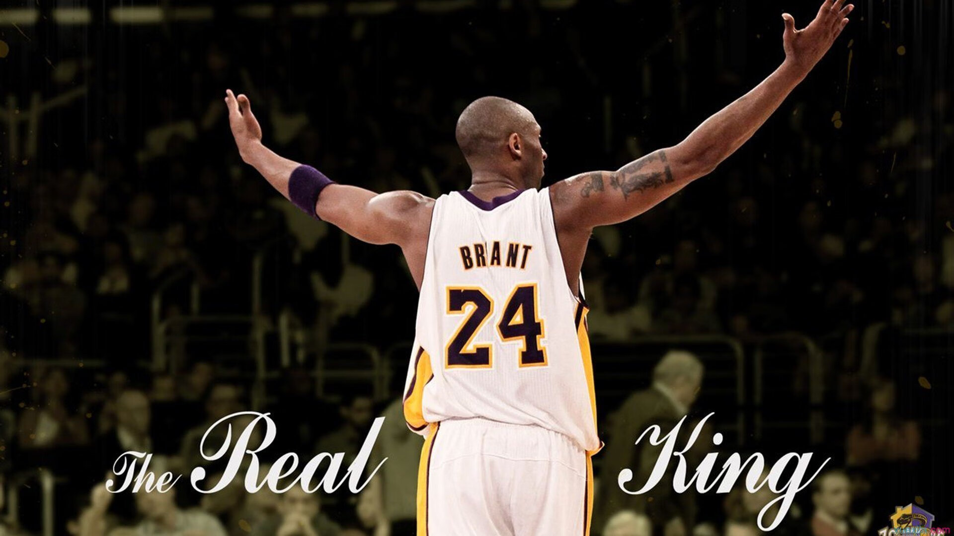 世界排名争夺战之夜，金玟哉数据全面爆炸，亚洲铁卫铸就传奇