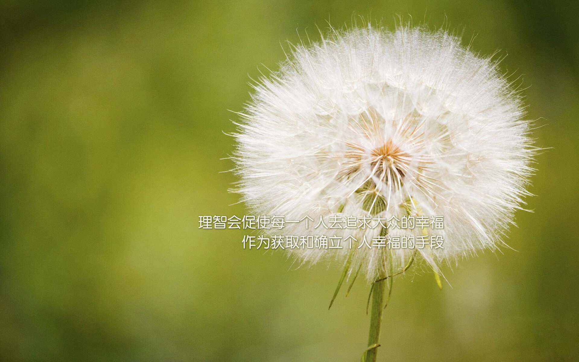 基米希一锤定音！曼城总比分4-2淘汰摩纳哥晋级八强