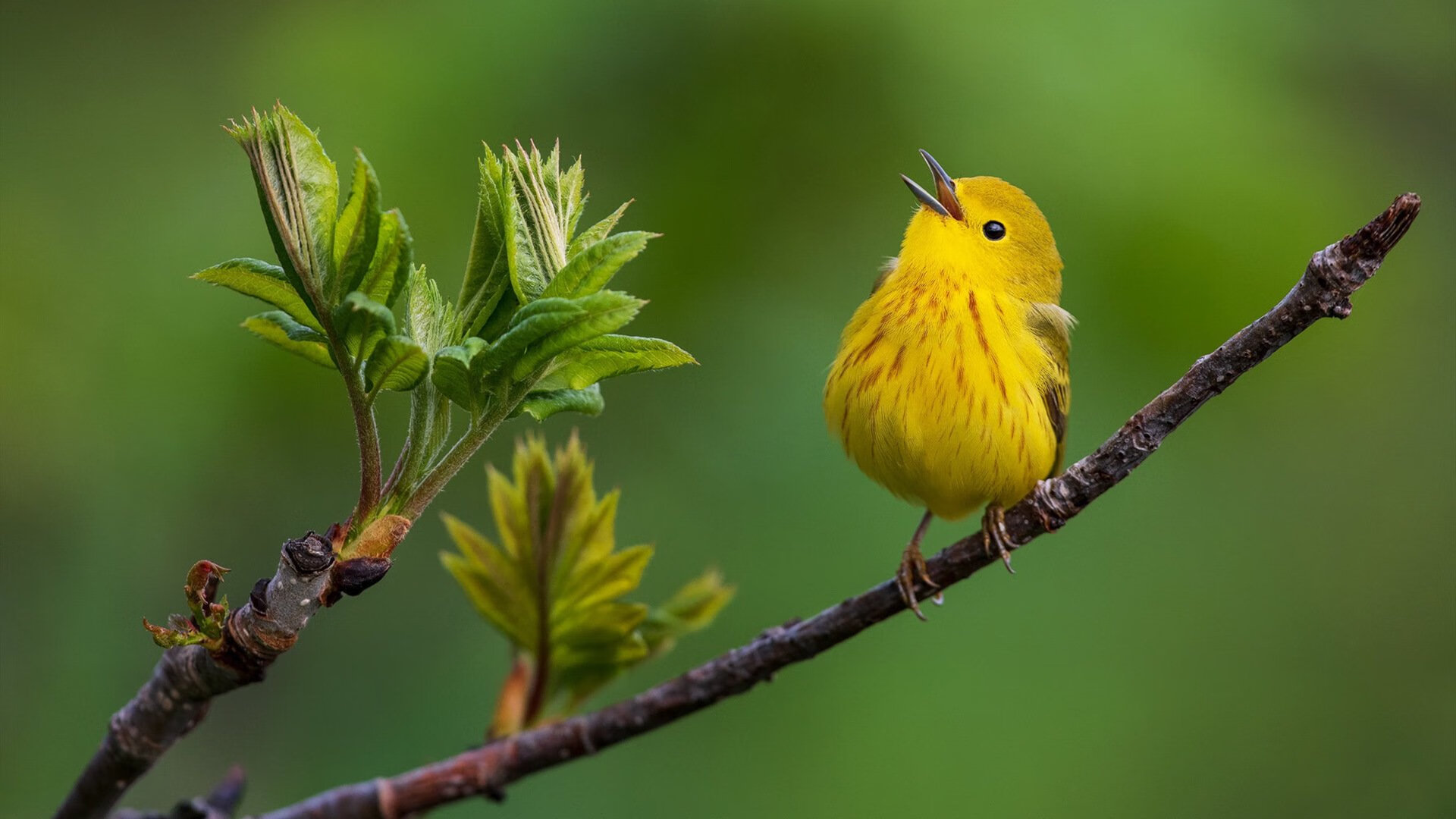 冲破三千米魔咒，一场用慢碾碎历史的重定义之战