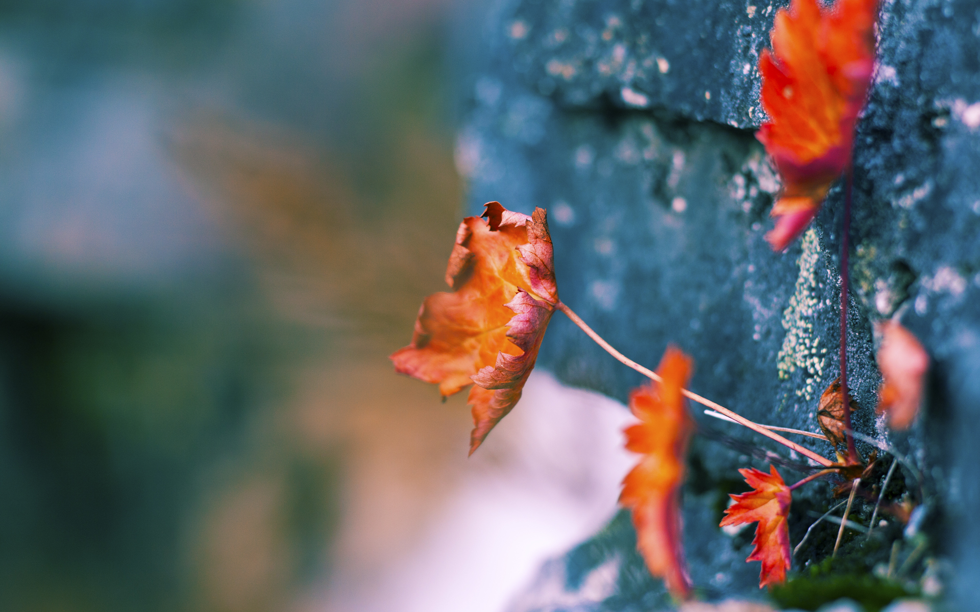 智慧碾压，太阳抢七战用空间炼狱封印黄蜂