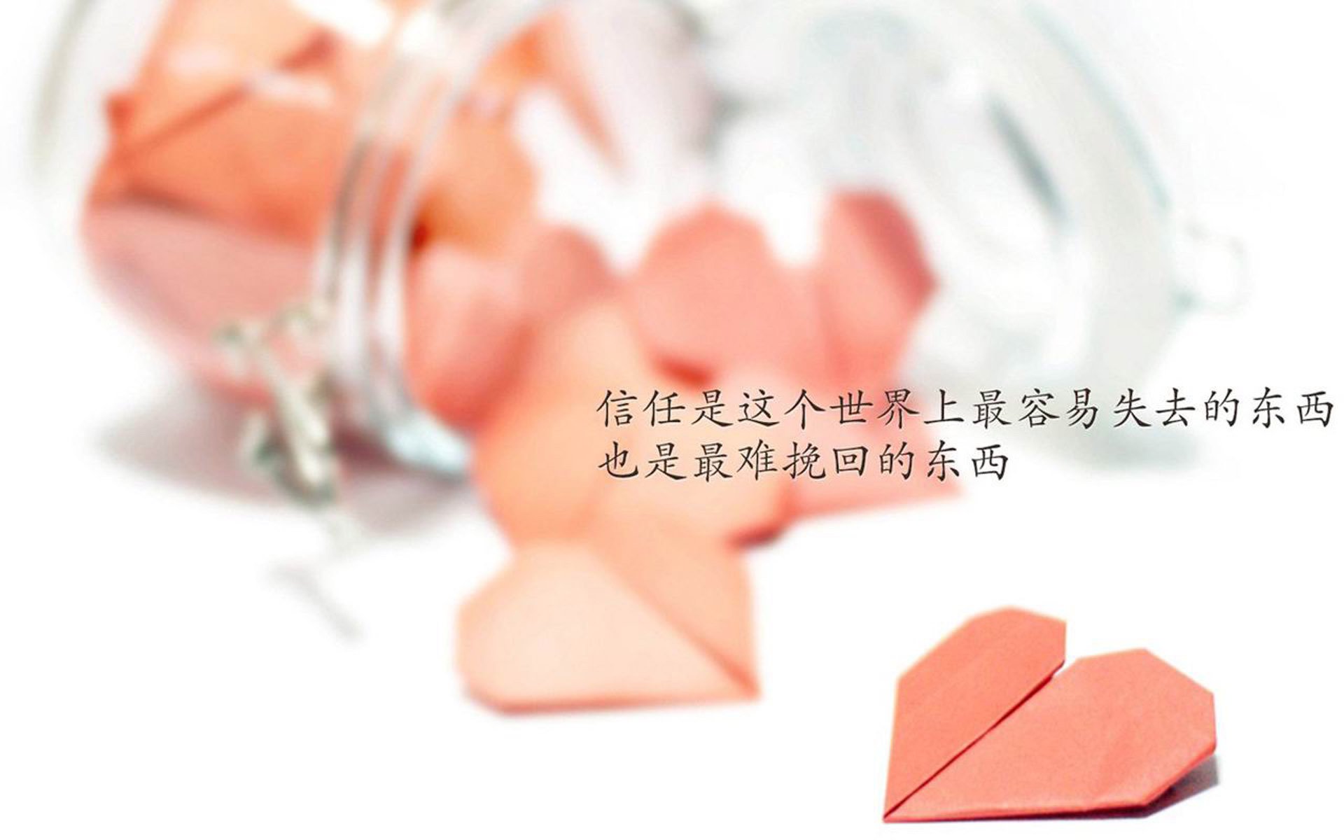 宿命之夜的蓝衣铁锁,当加维的血性与日本武士的韧劲,在世界杯积分战中写下唯一答案