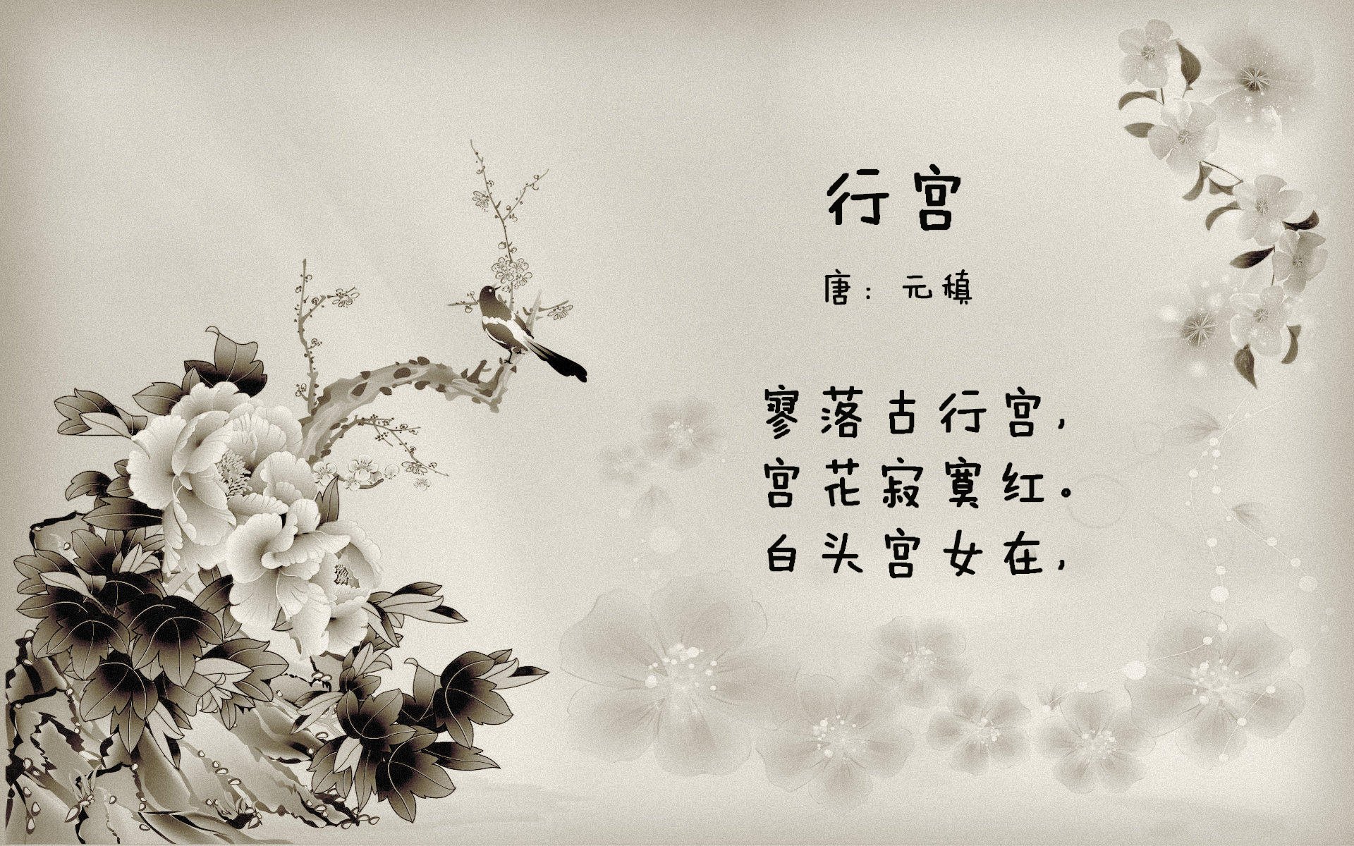 黑马奔腾，2026世界杯上，喀麦隆如何用快速反击撕碎秘鲁，凯恩闪耀全场