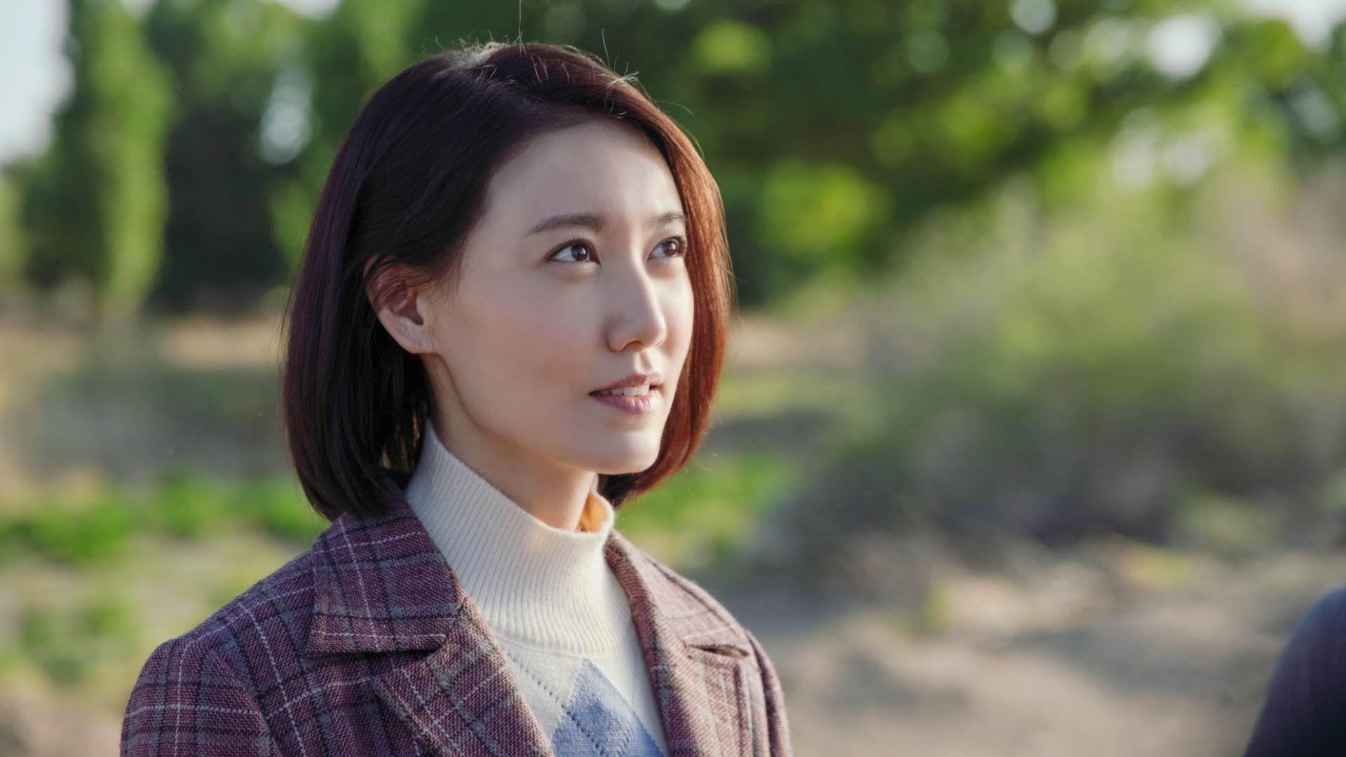 唯一之矛,2026世界杯H组,斯洛伐克如何用非典型横扫伊朗,布罗佐维奇的一击定乾坤